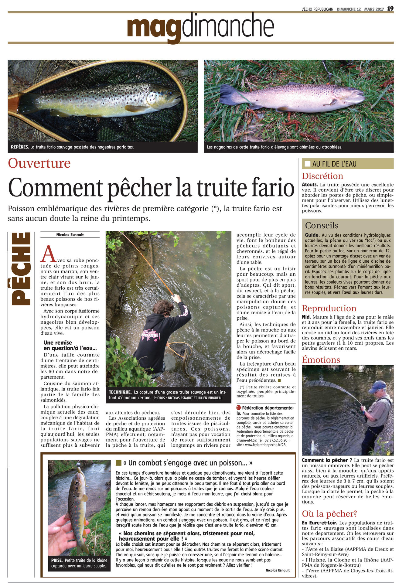 Au toc, à la mouche naturelle - Peche et Poissons  Carnassiers, carpe,  truite, mer, coup… Toute l'actu de la pêche